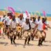 Malawianity: A Philosophy for Nation-building in Malawi